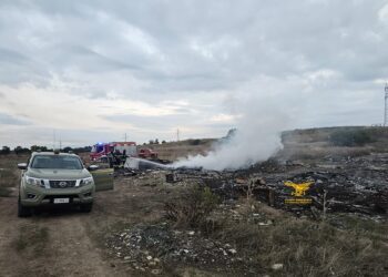 Roghi illeciti di rifiuti nel Cagliaritano, vasta operazione dei Forestali: denunciate 4 persone, sequestrati un autocarro e un’area agricola