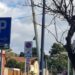 Momenti di paura a Cagliari, Viale Bonaria chiuso al traffico per un palo elettrico pericolante: intervento dei Vigili del Fuoco