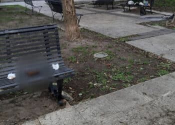 Cagliari, panchine pubbliche scambiate per wc: la signora con il vestito bianco costretta a sedersi fra gli escrementi