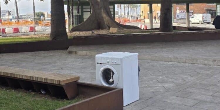 Cagliari, degrado senza fine in piazza Matteotti: una lavatrice abbandonata di fronte a palazzo Bacaredda