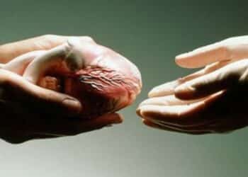 Dalla Sardegna in tutta Italia, gli organi di una giovane donna salvano 5 vite