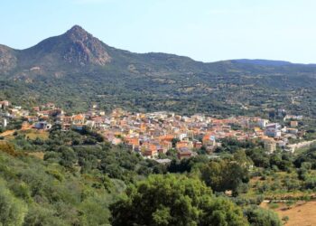 Il comune di Loceri senza internet da una settimana, pronta la denuncia contro Telecom Italia