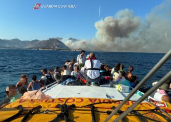 Contrasto alla pesca illegale, controlli in spiaggia e soccorsi in mare: un anno di attività della Guardia costiera di Cagliari