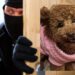 Selargius, la cagnolina dell’assessore mette in fuga i ladri: “Cosa deve succedere perché la sicurezza delle persone venga presa sul serio?”
