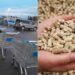Pellet introvabile anche nel Medio Campidano, tutti in fila  per aggiudicarsi uno o più sacchi del ricercato combustibile