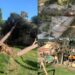 Castiadas, danni sul territorio e domani scuole chiuse: abbattuti alberi, pali e cartelloni pubblicitari