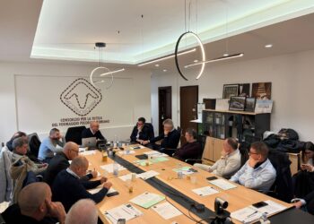 Dazi, internazionalizzazione, strumenti finanziari: l’assessore Agus al cda del consorzio Pecorino Romano