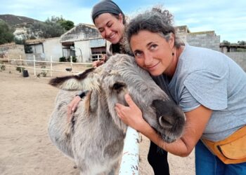 Maltempo a Quartu, l’appello per salvare l’Officina Equestre di Alba Fois a Capitana