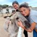 Maltempo a Quartu, l’appello per salvare l’Officina Equestre di Alba Fois a Capitana