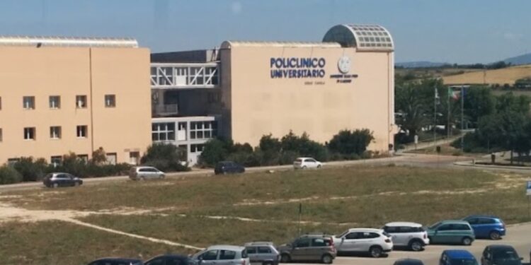 Cagliari, la denuncia degli studenti: “Esclusi dagli open day all’Università perché facciamo troppe gite”