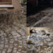 Oristano, il centro storico come un wc a cielo aperto dopo la Sartiglia: “Per rientrare a casa bisogna scalzarsi e buttare le scarpe“
