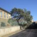 Le forti raffiche di vento mettono in ginocchio la Gallura e il Nuorese: operaio ferito dalla caduta di un albero