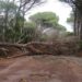 Il maltempo in Sardegna mette ko linee elettriche, telefonia, strade, acqua potabile: insorgono i sindaci