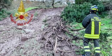 Muravera, alberi e cavi elettrici crollano in strada: famiglie isolate nel Sarrabus, crolla una casa a Sedilo