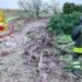 Muravera, alberi e cavi elettrici crollano in strada: famiglie isolate nel Sarrabus, crolla una casa a Sedilo