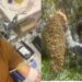Uta, il nobile gesto di Davide Meloni: donerà i suoi capelli a chi combatte contro il cancro