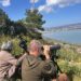 Parco di Molentargius, al via la nidificazione dei fenicotteri