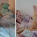 Radio Zampetta Sarda, sos a Flumini di Quartu: smarriti due gatti