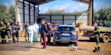 Incendi, sicurezza, animali: record di irregolarità in azienda tra Villacidro e Sardara