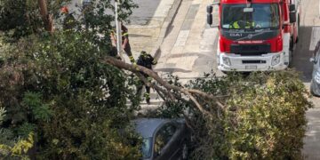 Quartu, albero crolla davanti alla scuola Porcu Satta: tragedia sfiorata all’uscita degli alunni