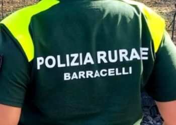 “Subito la riforma o la campagna antincendio è a rischio in Sardegna”: è gelo fra Barracelli e Regione
