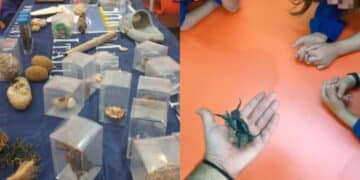 Medio Campidano, la spiaggia entra in aula per una lezione di educazione ambientale