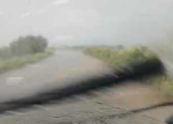 Strada allagata a causa dell’erba alta ai lati della carreggiata: tra Serramanna e Serrenti è allarme (VIDEO)