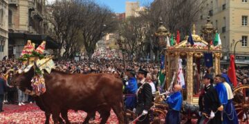 Cagliari, a poche ore da Sant’Efisio resta il mistero: nessuna decisione sui buoi che trainano il cocchio