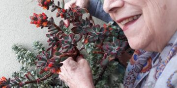 Cagliari: si è spenta Pupa, vedova Congiu