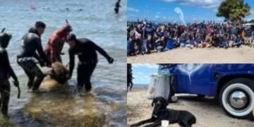 Staccionate, funi da pesca, un albero di Natale e un cestello di lavatrice: in mare a Quartu una discarica di rifiuti