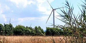 Villanovaforru, rifiuta 15 mila euro all’anno e dice no alle pale eoliche