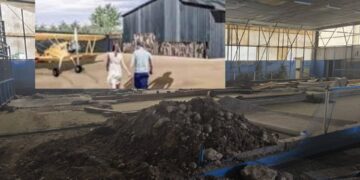 Monserrato, musei del volo e del vino dove un tempo atterravano gli aerei di guerra