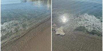 Cagliari, il Poetto invaso dalla schiuma da giorni: protestano i bagnanti, il Comune rassicura