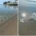 Cagliari, il Poetto invaso dalla schiuma da giorni: protestano i bagnanti, il Comune rassicura