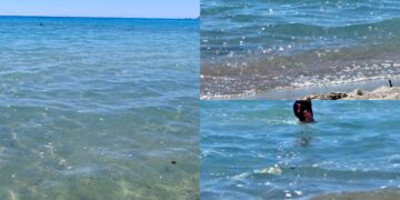 Cagliari, una strana schiuma segnalata al Poetto: “Situazione intollerabile”