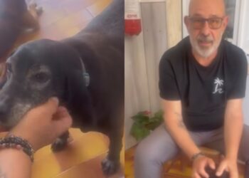 Capoterra, Gaetano Crocco e i trovatelli diventano testimonial contro l’abbandono degli animali