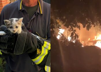 “Basta incendiare la Sardegna”: l’appello di Elia, un vigile del fuoco di Cagliari