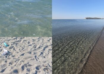 Poetto, la spiaggia dei centomila ridotta a una discarica a cielo aperto