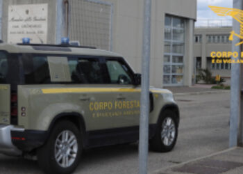 Villasor, arrestato un allevatore 78enne mentre appicca un incendio in un campo di grano