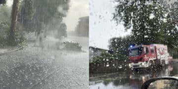 Mandas, dopo il caldo arriva il nubifragio: alberi caduti e strade allagate
