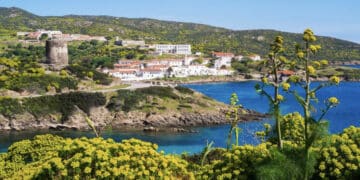 Asinara, la Giunta approva l’aggiornamento del Piano del Parco Nazionale: “Uno dei simboli del patrimonio naturalistico della Sardegna”