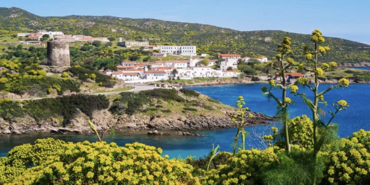 Asinara, la Giunta approva l’aggiornamento del Piano del Parco Nazionale: “Uno dei simboli del patrimonio naturalistico della Sardegna”