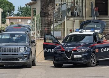 Operazione antidroga tra Cagliari e Selargius: perquisizioni a tappeto dei Carabinieri, un arresto e ingenti sequestri