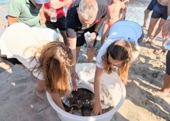 Tartaruga marina ferita “chiede” soccorso al lido dei Carabinieri: il bellissimo salvataggio in spiaggia a Quartu