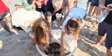 Tartaruga marina ferita “chiede” soccorso al lido dei Carabinieri: il bellissimo salvataggio in spiaggia a Quartu