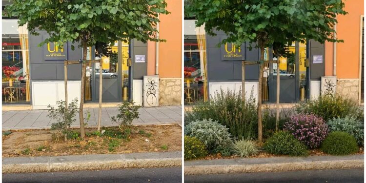 Via Dante, la protesta di una ristoratrice: “Ci hanno tolto i tavolini, ora lasciateci almeno curare l’aiuola”