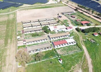 Carbonia, parco fotovoltaico a fianco al canile: “Le lavorazioni sono state pianificate ed eseguite con modalità tali da minimizzare l’impatto”