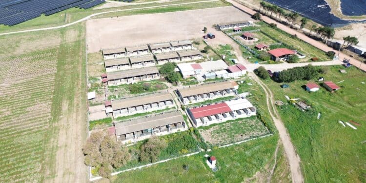 Carbonia, parco fotovoltaico a fianco al canile: “Le lavorazioni sono state pianificate ed eseguite con modalità tali da minimizzare l’impatto”