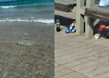 Cagliari, polemiche sotto l’ombrellone tra chi difende la Posidonia e chi invece proprio la vorrebbe far sparire