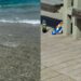 Cagliari, polemiche sotto l’ombrellone tra chi difende la Posidonia e chi invece proprio la vorrebbe far sparire